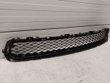 Lower Grille
